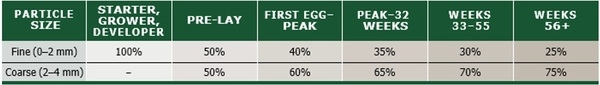 Nutritional strategies to achieve 500 eggs in 100 weeks in high-production layers - Image 18