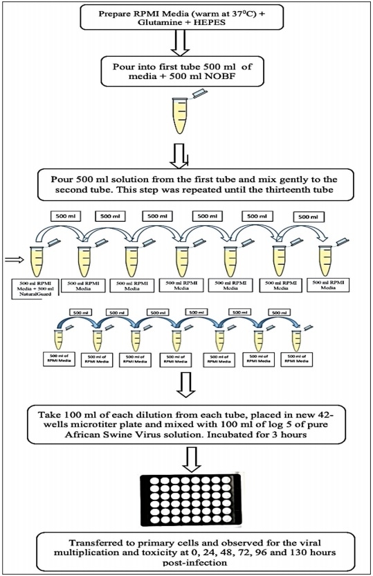 Natural oil blend formulation as an anti-African swine fever virus agent in in vitro primary porcine alveolar macrophage culture - Image 6