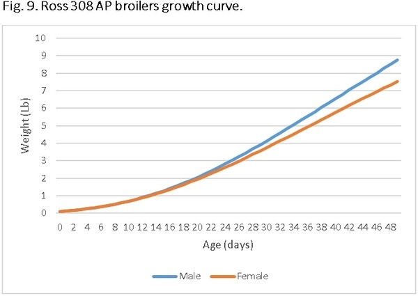 Nutritional requirements of modern broilers - Image 16