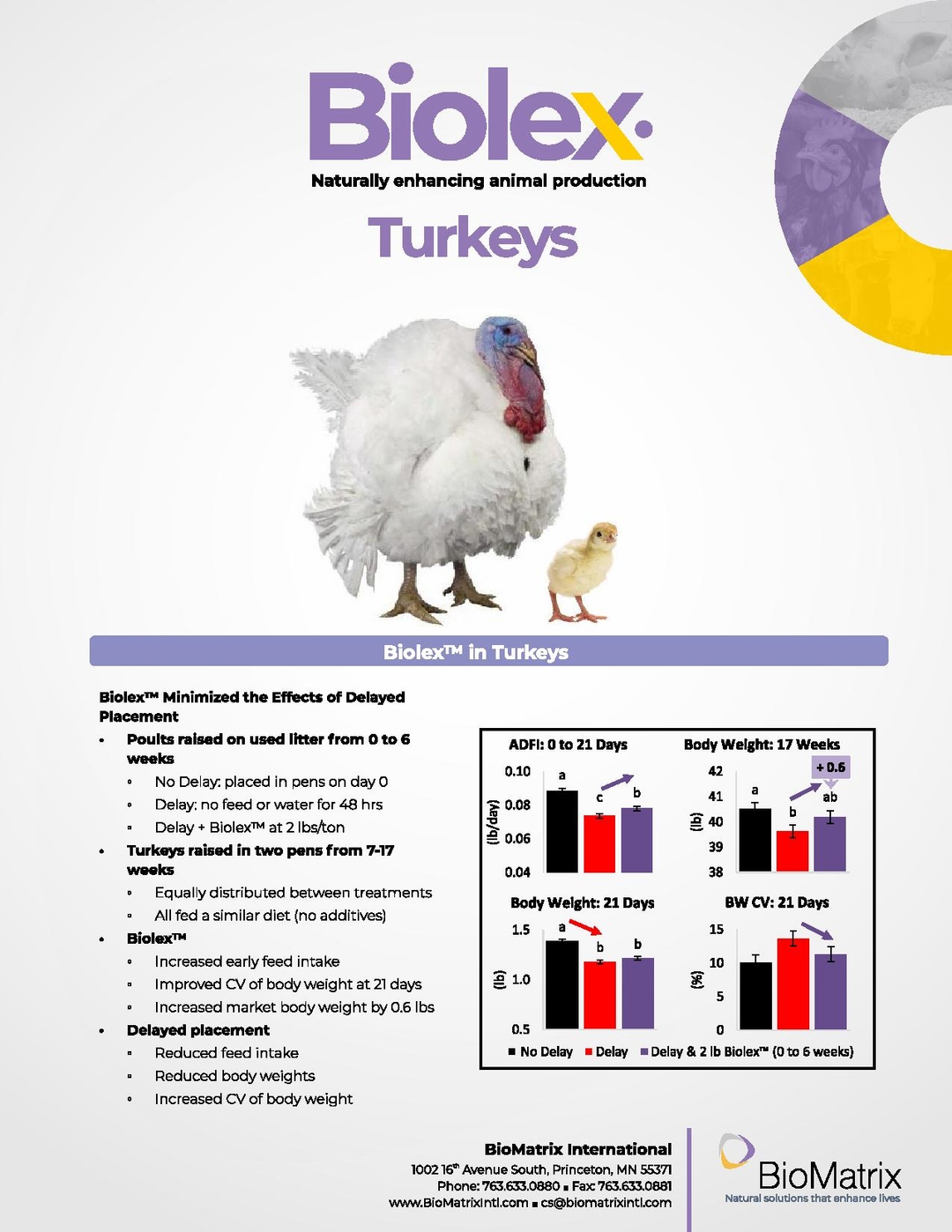 Field trial results in Turkey - Image 1