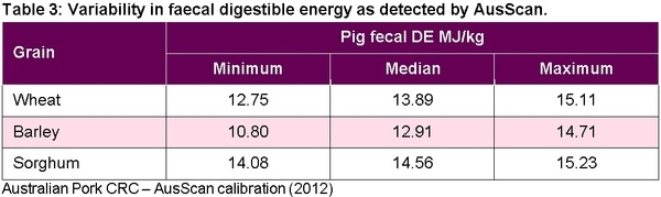 Australian barley, wheat and sorghum as alternative grains in pig diets in Asia - Image 3
