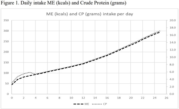 Practical Pullet and Breeder Nutrition - Image 2