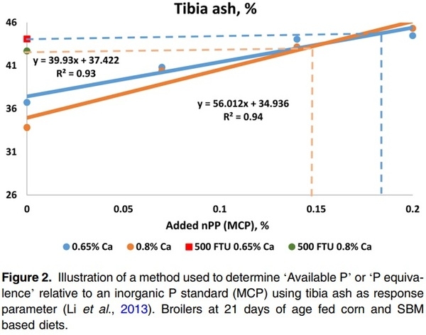 A critical review of methods used to determine phosphorus and digestible amino acid matrices when using phytase in poultry and pig diets - Image 2