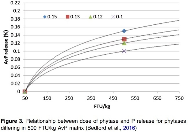 A critical review of methods used to determine phosphorus and digestible amino acid matrices when using phytase in poultry and pig diets - Image 3
