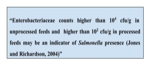 Managing Salmonella contamination: gold standard for improving feed hygiene - Image 1