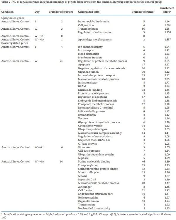The effect of maternal antibiotic use in sows on intestinal development in offspring - Image 11