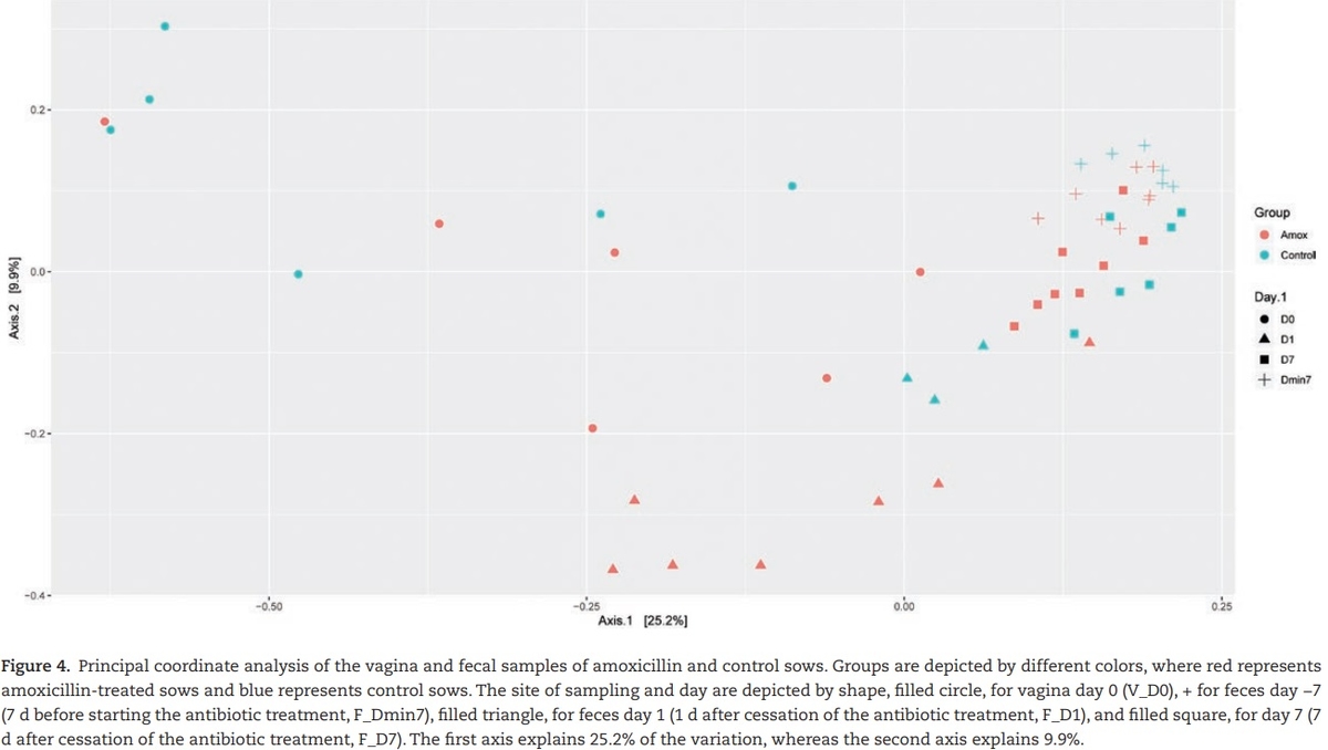 The effect of maternal antibiotic use in sows on intestinal development in offspring - Image 9