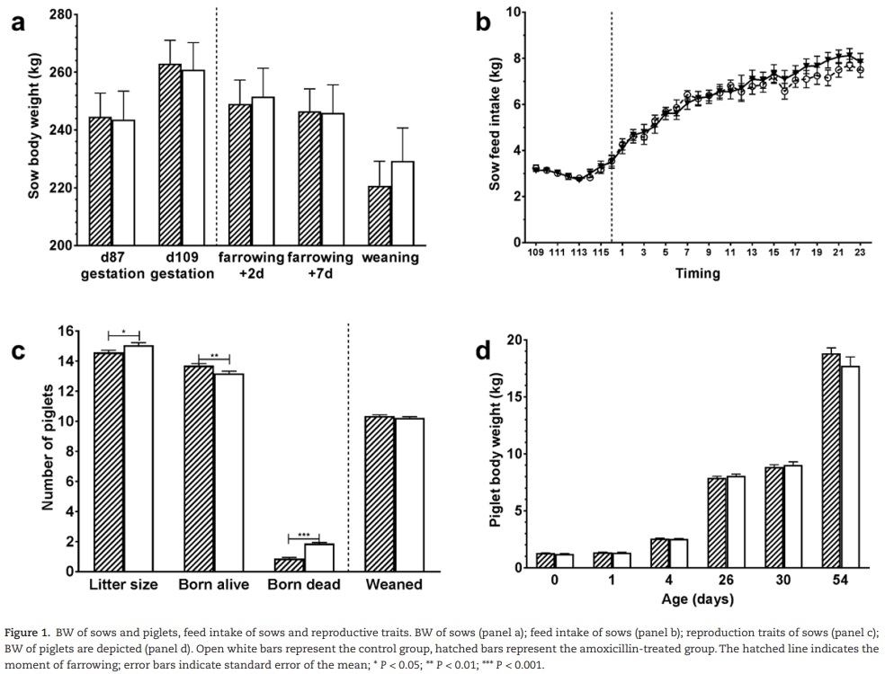 The effect of maternal antibiotic use in sows on intestinal development in offspring - Image 3