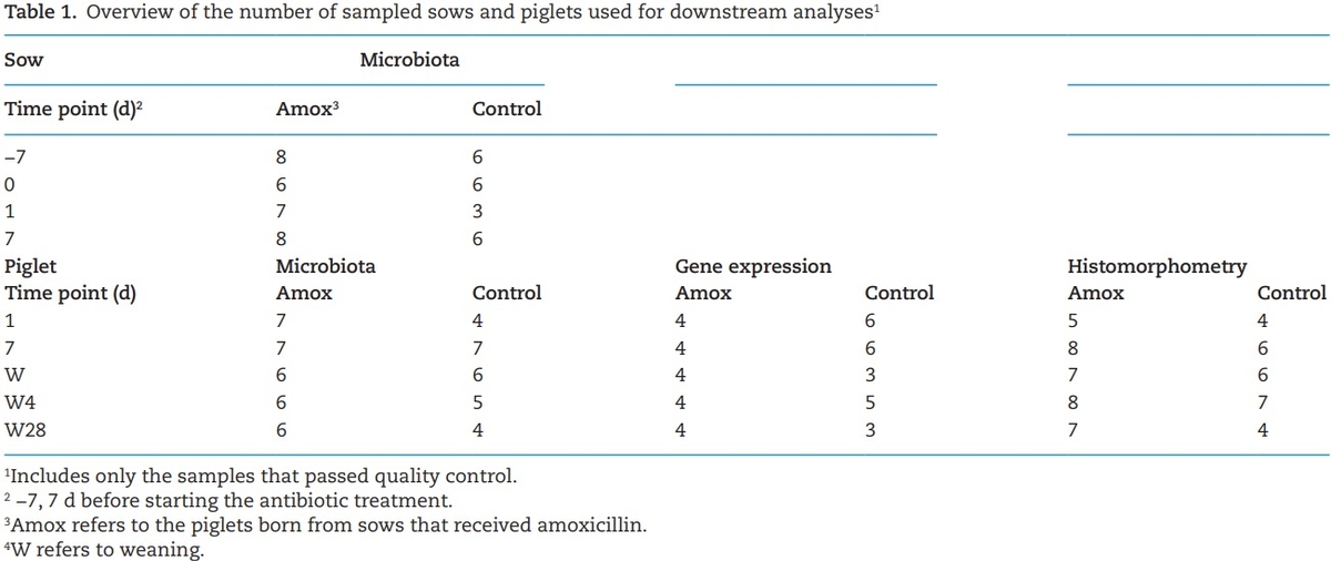 The effect of maternal antibiotic use in sows on intestinal development in offspring - Image 1