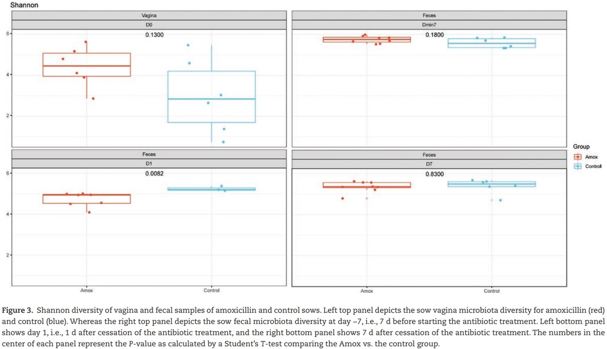 The effect of maternal antibiotic use in sows on intestinal development in offspring - Image 7