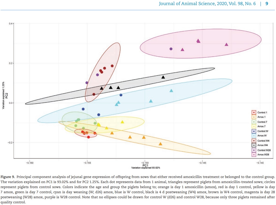 The effect of maternal antibiotic use in sows on intestinal development in offspring - Image 17