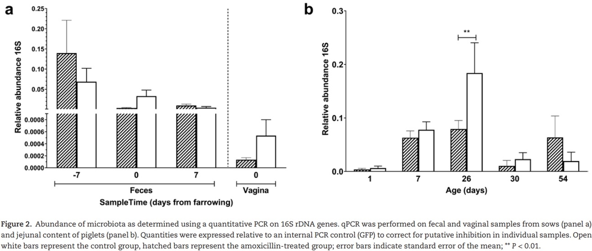 The effect of maternal antibiotic use in sows on intestinal development in offspring - Image 5