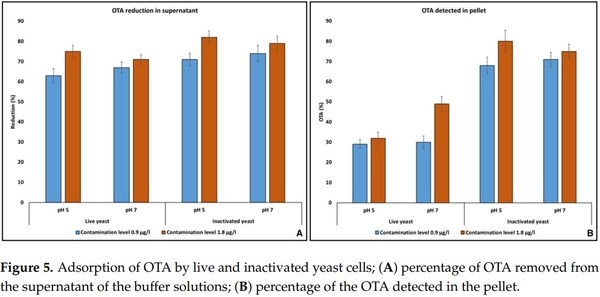 Application of Low-Fermenting Yeast Lachancea thermotolerans for the Control of Toxigenic Fungi Aspergillus parasiticus, Penicillium verrucosum and Fusarium graminearum and Their Mycotoxins - Image 6