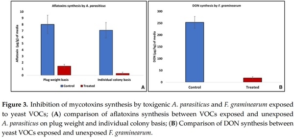 Application of Low-Fermenting Yeast Lachancea thermotolerans for the Control of Toxigenic Fungi Aspergillus parasiticus, Penicillium verrucosum and Fusarium graminearum and Their Mycotoxins - Image 3
