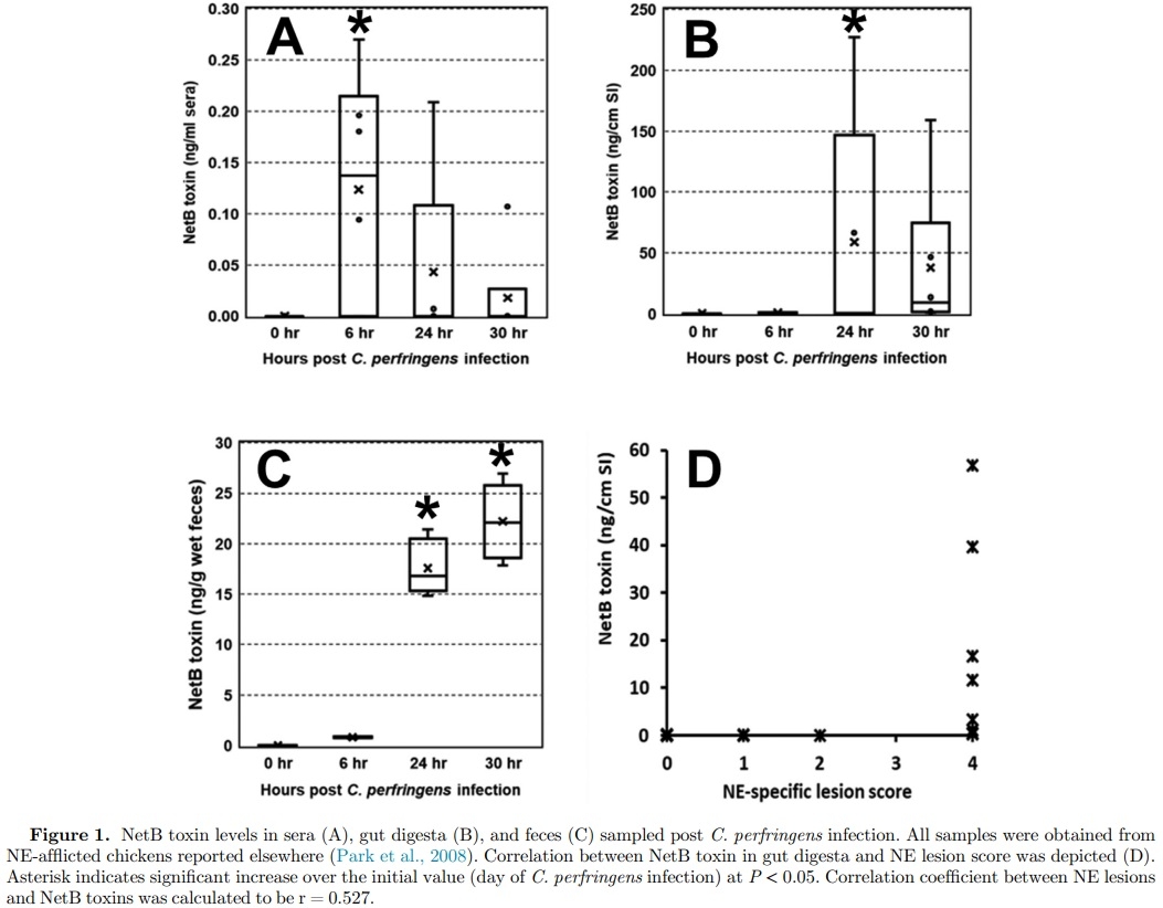 Research Note: First report on the detection of necrotic enteritis (NE) B-like toxin in biological samples from NE-afflicted chickens using capture enzyme-linked immunosorbent assay - Image 3