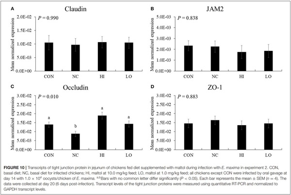 Effects of Dietary Maltol on Innate Immunity, Gut Health, and Growth Performance of Broiler Chickens Challenged With Eimeria maxima - Image 13