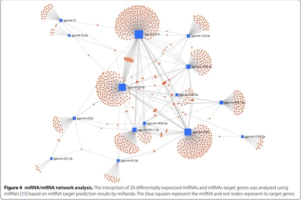 Exosomal miRNA profling from H5N1 avian infuenza virus-infected chickens - Image 7