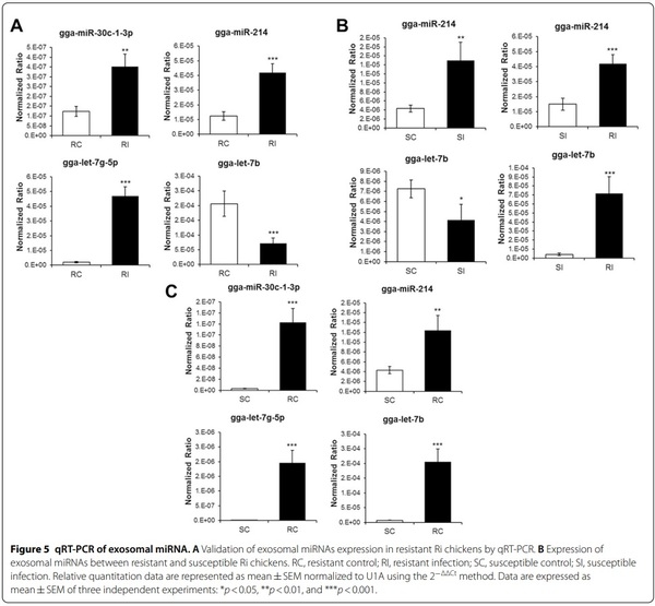 Exosomal miRNA profling from H5N1 avian infuenza virus-infected chickens - Image 8