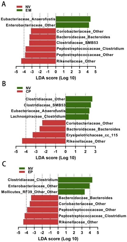 Effects of Eimeria maxima and Clostridium perfringens infections on cecal microbial composition and the possible correlation with body weight gain in broiler chickens - Image 7