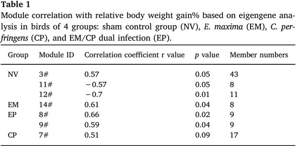 Effects of Eimeria maxima and Clostridium perfringens infections on cecal microbial composition and the possible correlation with body weight gain in broiler chickens - Image 8