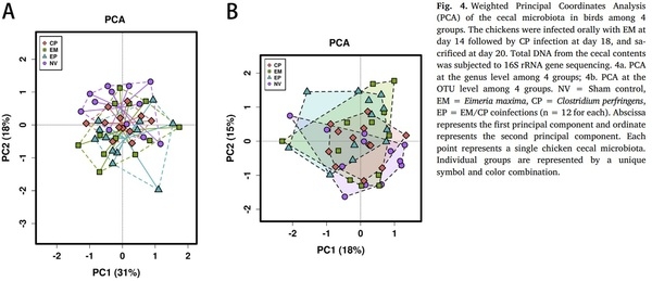 Effects of Eimeria maxima and Clostridium perfringens infections on cecal microbial composition and the possible correlation with body weight gain in broiler chickens - Image 4