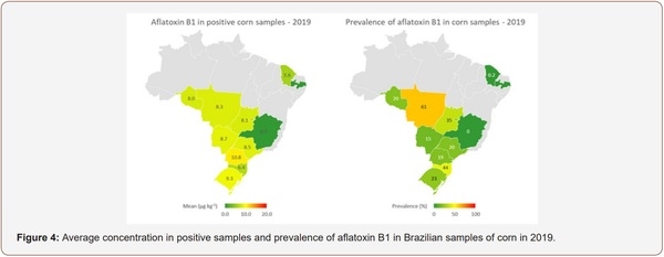 Survey of Mycotoxin in Brazilian Corn by NIR Spectroscopy-Year 2019 - Image 4
