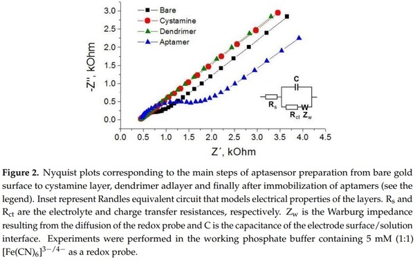 Label-Free and Redox Markers-Based Electrochemical Aptasensors for Aflatoxin M1 Detection - Image 2