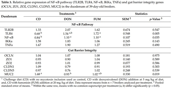 Effects of Deoxynivalenol and Fumonisins on Broiler Gut Cytoprotective Capacity - Image 1