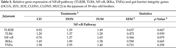 Effects of Deoxynivalenol and Fumonisins on Broiler Gut Cytoprotective Capacity - Image 3