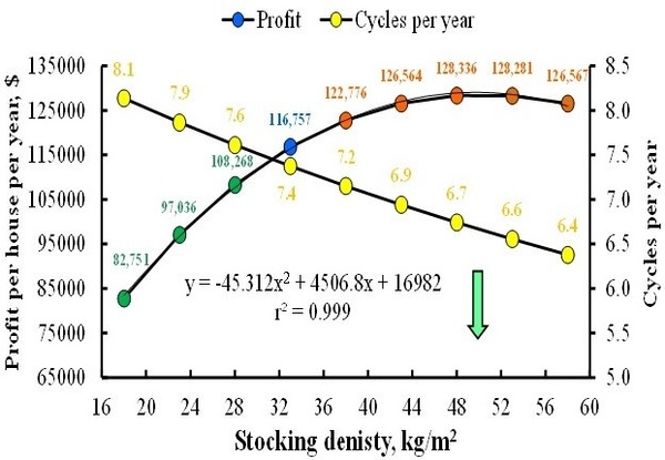 Stocking Density and Farm Profitability in Broiler Chickens - Image 2