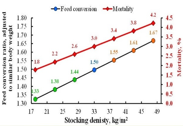 Stocking Density and Farm Profitability in Broiler Chickens - Image 1