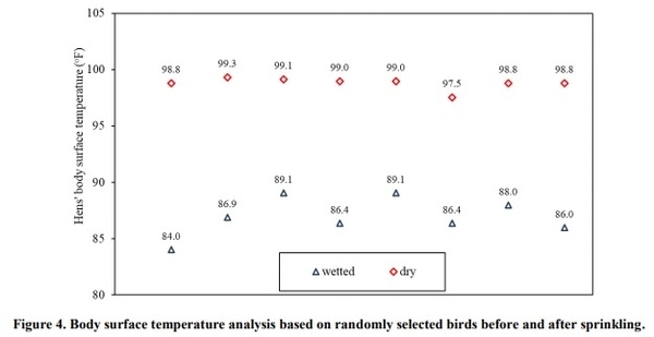 Sprinkling Cooling for Cage-free Hens - Image 4