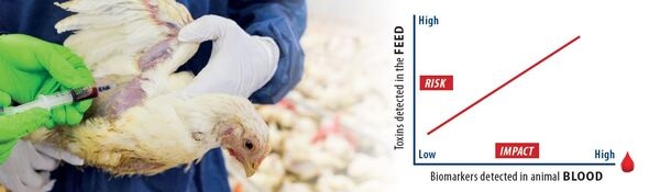 Myco-Marker® knowing the real exposure to mycotoxins through blood tests - Image 1