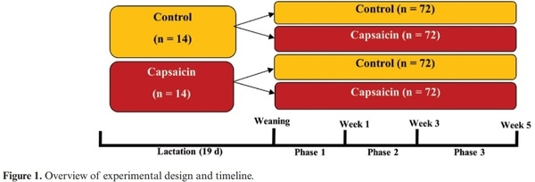 Effect of supplementing lactation and nursery pig diets with capsaicin on growth performance and gene expression of nursery pigs - Image 2