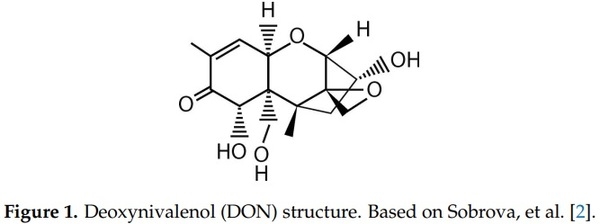 Fusarium graminearum Colors and Deoxynivalenol Synthesis at Different Water Activity - Image 1