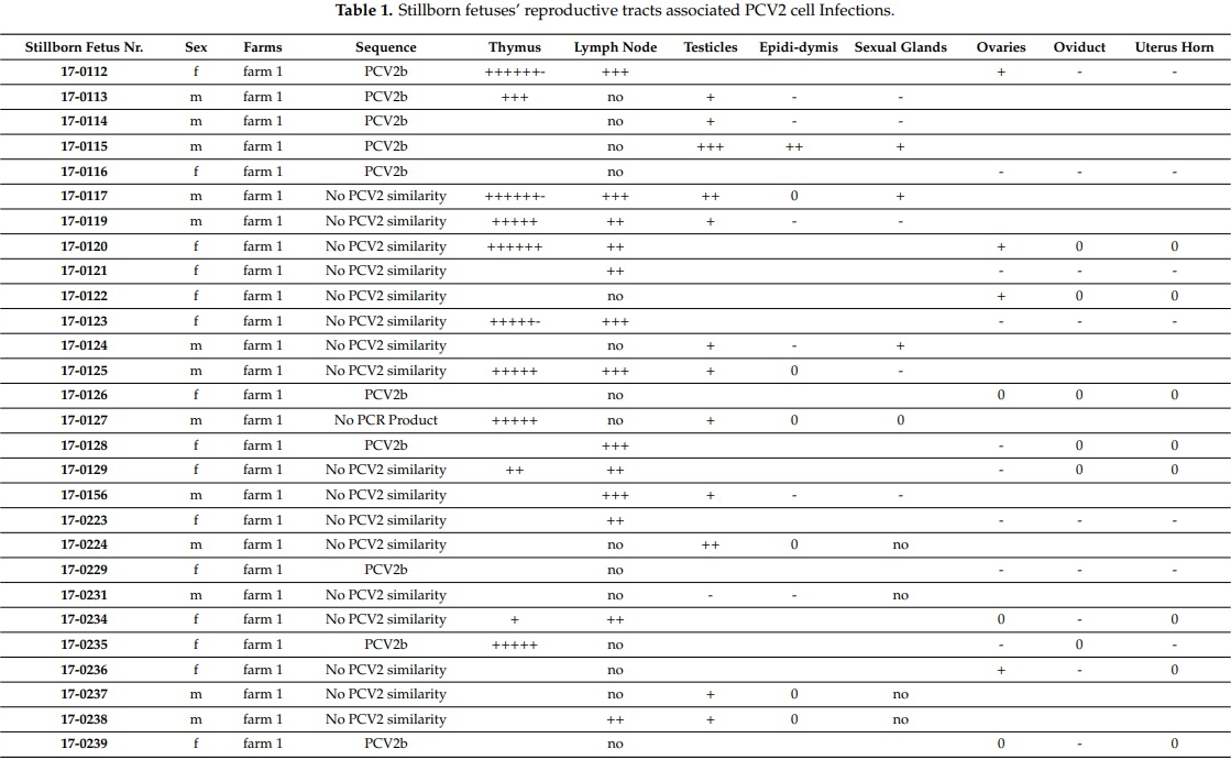 Porcine Circovirus Type 2 Pathogenicity Alters Host’s Central Tolerance for Propagation - Image 1