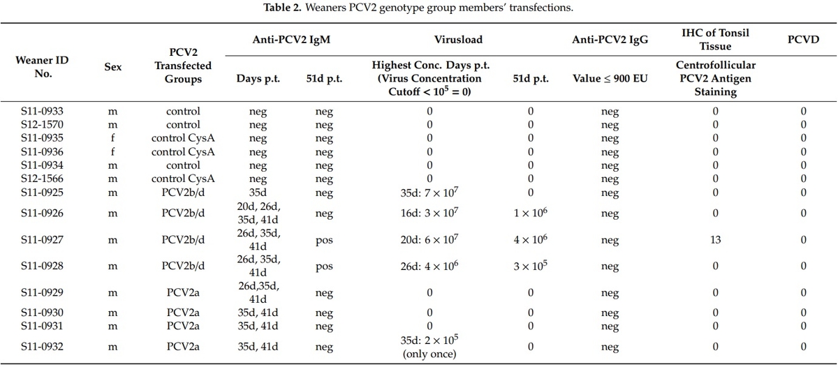 Porcine Circovirus Type 2 Pathogenicity Alters Host’s Central Tolerance for Propagation - Image 5