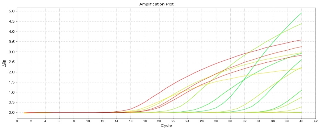 Molecular technology. One more step in the diagnosis of salmonellosis in poultry - Image 3