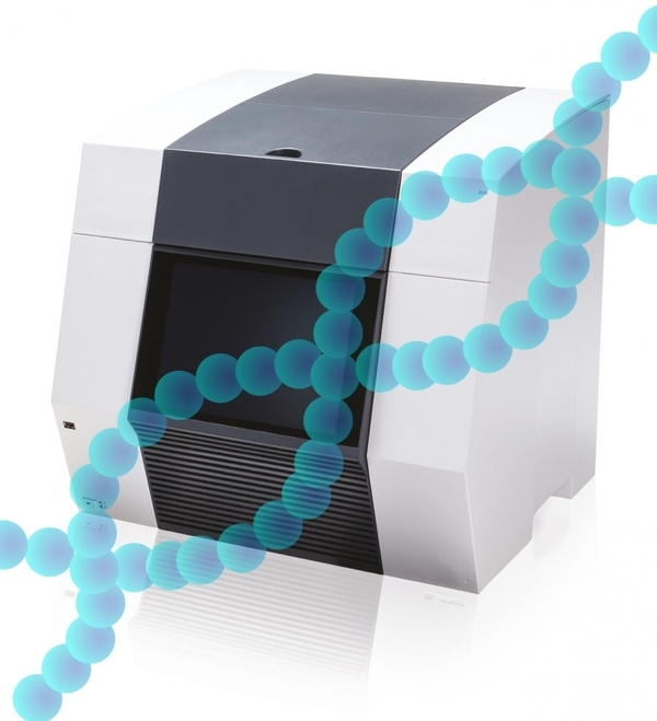 Molecular technology. One more step in the diagnosis of salmonellosis in poultry - Image 1