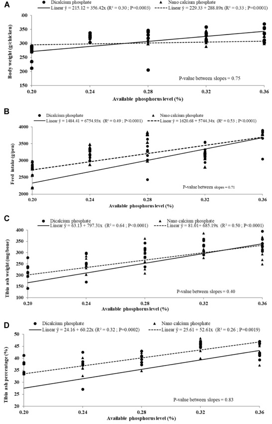 Effects of available phosphorus source and concentration on performance and expression of sodium phosphate type IIb cotransporter, vitamin D-1α-hydroxylase, and vitamin D-24-hydroxylase mRNA in broiler chicks - Image 4