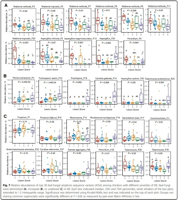 Perturbations of the ileal mycobiota by necrotic enteritis in broiler chickens - Image 8