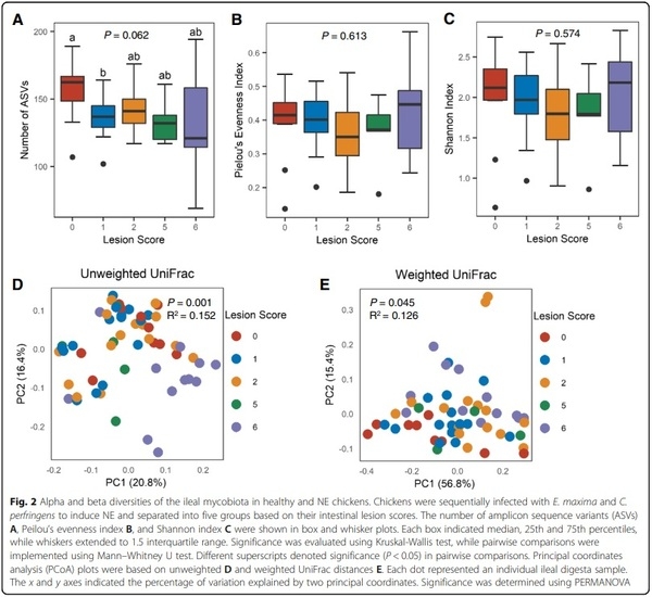 Perturbations of the ileal mycobiota by necrotic enteritis in broiler chickens - Image 2