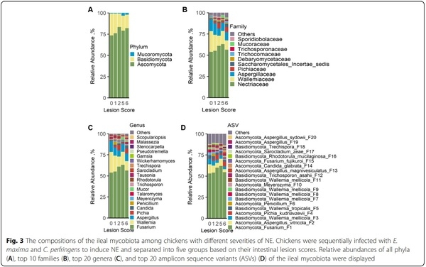 Perturbations of the ileal mycobiota by necrotic enteritis in broiler chickens - Image 3