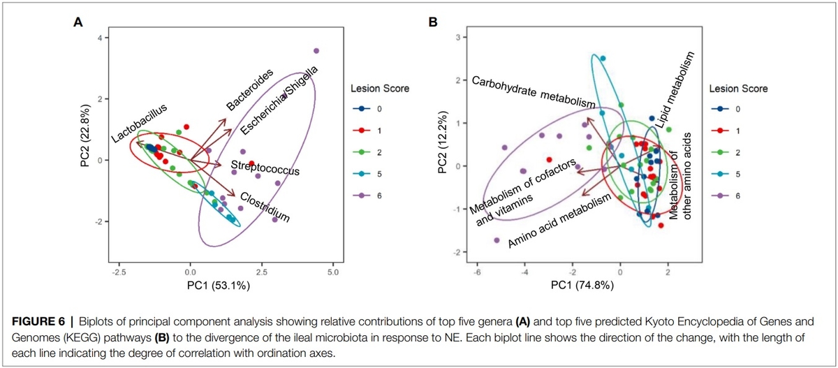 Identification of an Intestinal Microbiota Signature Associated With the Severity of Necrotic Enteritis - Image 11