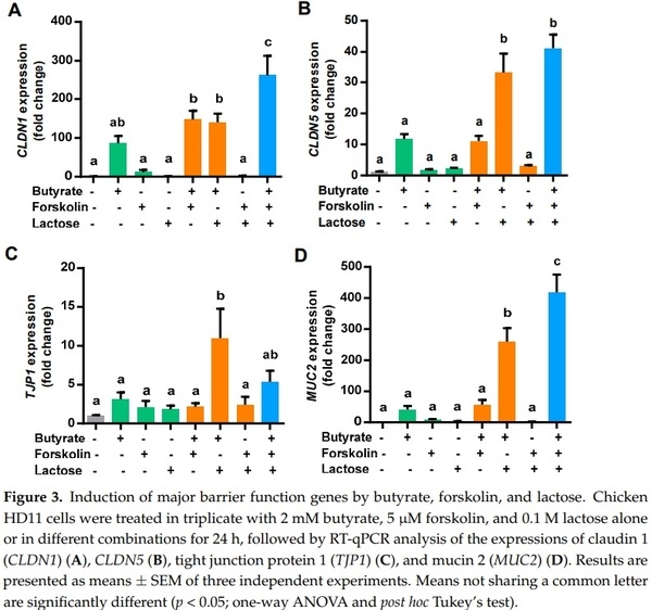 Butyrate, Forskolin, and Lactose Synergistically Enhance Disease Resistance by Inducing the Expression of the Genes Involved in Innate Host Defense and Barrier Function - Image 3
