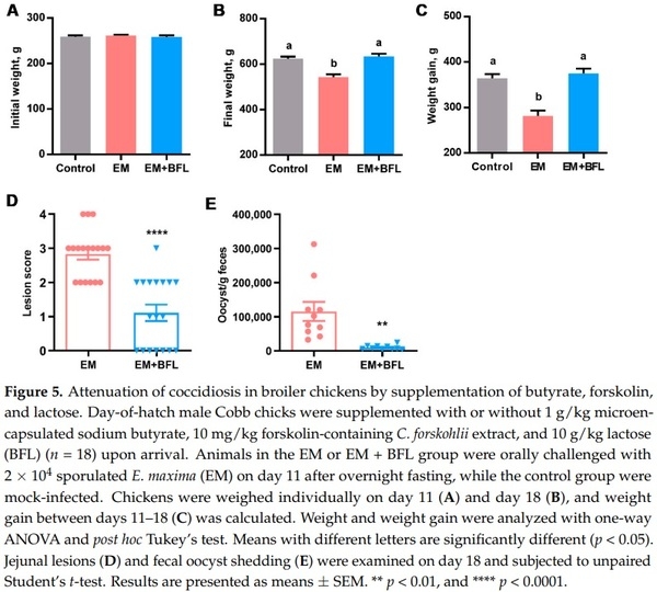 Butyrate, Forskolin, and Lactose Synergistically Enhance Disease Resistance by Inducing the Expression of the Genes Involved in Innate Host Defense and Barrier Function - Image 6