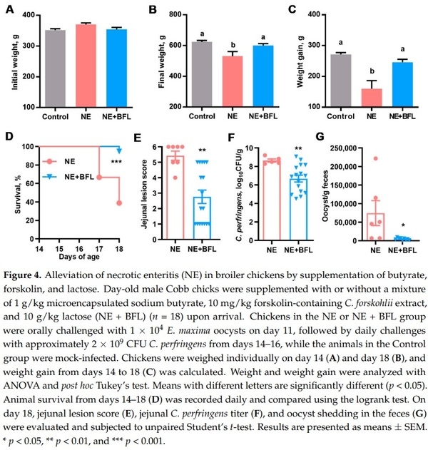 Butyrate, Forskolin, and Lactose Synergistically Enhance Disease Resistance by Inducing the Expression of the Genes Involved in Innate Host Defense and Barrier Function - Image 5