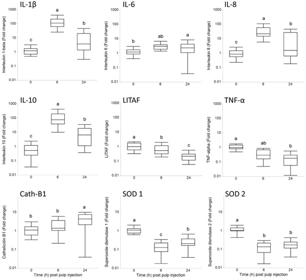 Local and systemic inflammatory responses to lipopolysaccharide in broilers: new insights using a two-window approach - Image 6