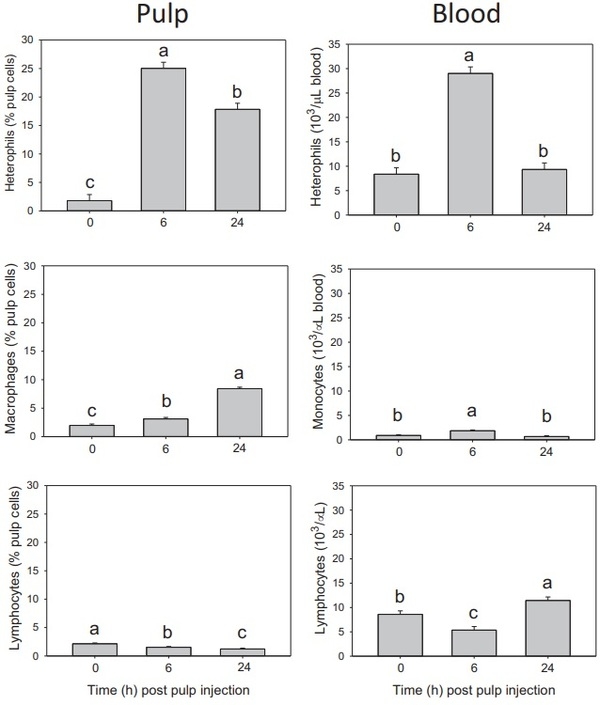Local and systemic inflammatory responses to lipopolysaccharide in broilers: new insights using a two-window approach - Image 3