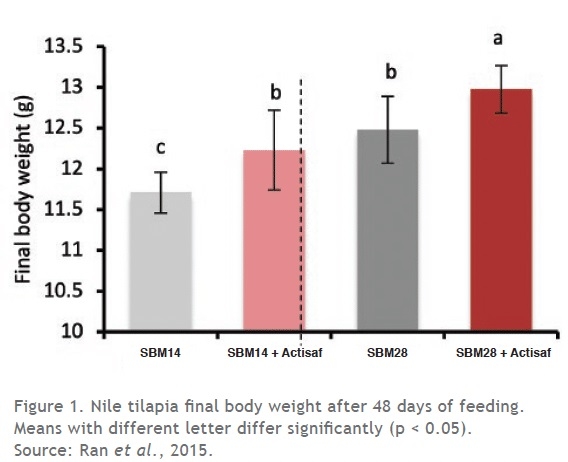 Yeast probiotics to boost fish gut health and improve feed efficiency - Image 1